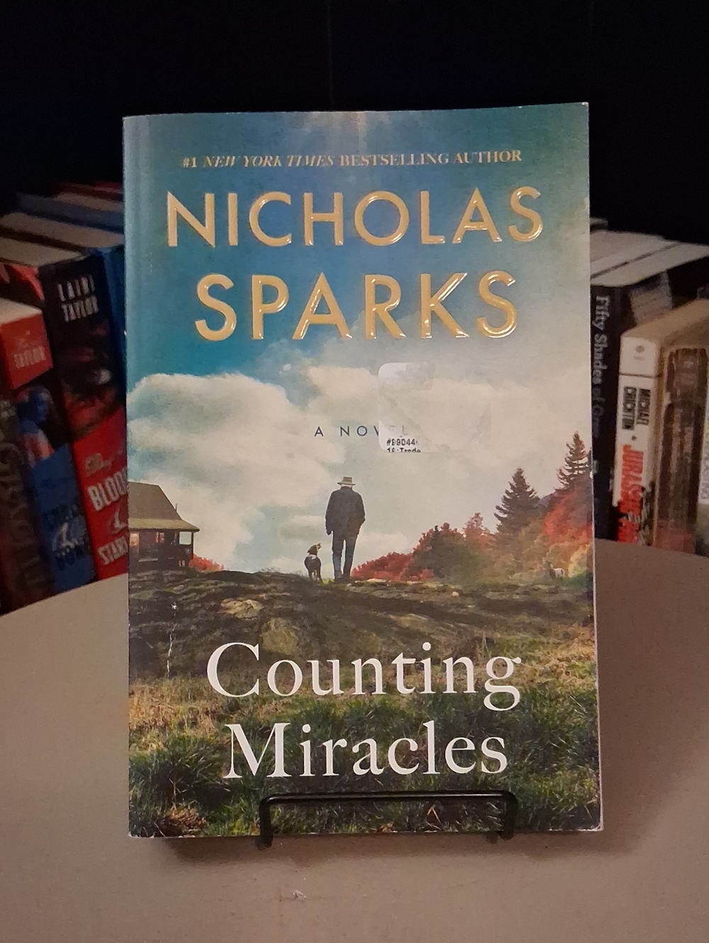 Counting Miracles by Nicholas Sparks